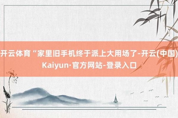 开云体育“家里旧手机终于派上大用场了-开云(中国)Kaiyun·官方网站-登录入口