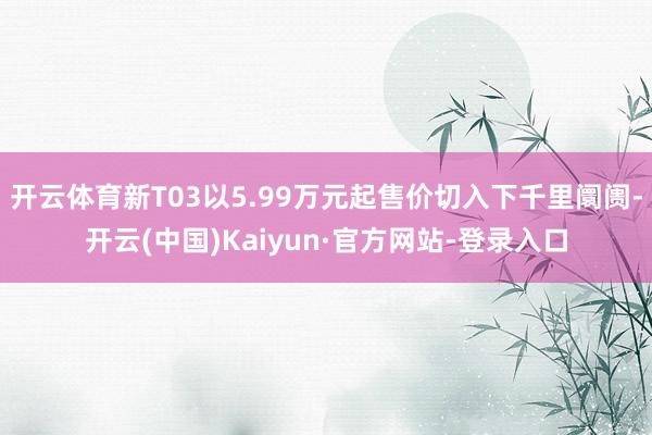 开云体育新T03以5.99万元起售价切入下千里阛阓-开云(中国)Kaiyun·官方网站-登录入口