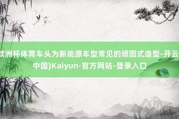 欧洲杯体育车头为新能源车型常见的顽固式造型-开云(中国)Kaiyun·官方网站-登录入口
