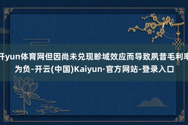 开yun体育网但因尚未兑现畛域效应而导致夙昔毛利率为负-开云(中国)Kaiyun·官方网站-登录入口